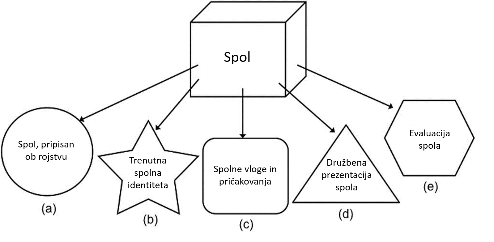 Spol in spolna nebinarnost - Kameleon